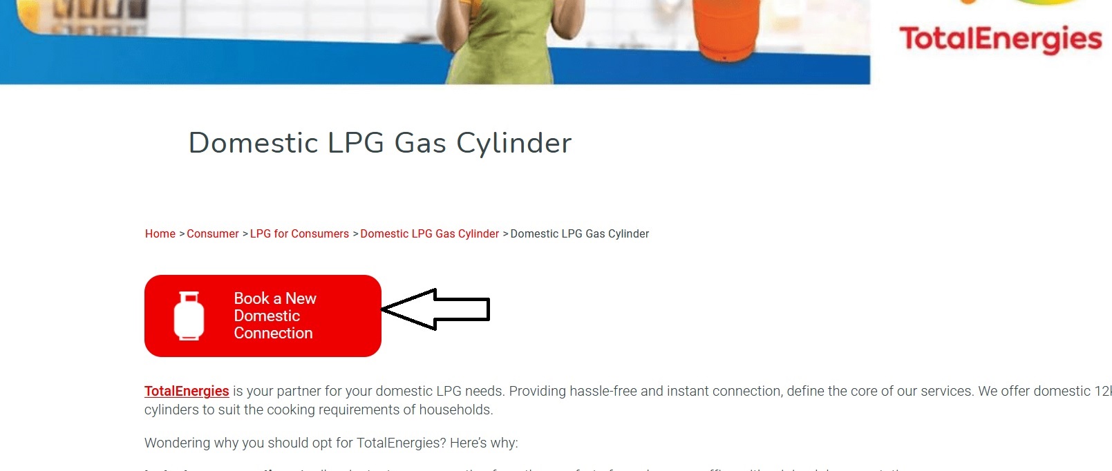 Total Energies Domestic LPG Gas Cylinder Application totalenergies.in